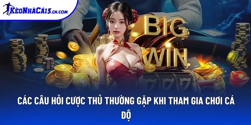 Các câu hỏi cược thủ thường gặp khi tham gia chơi cá độ